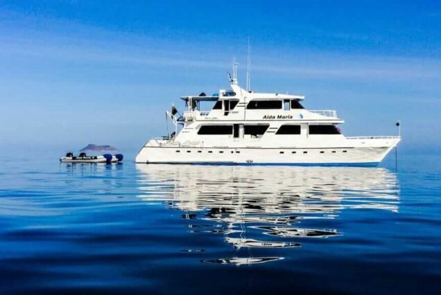 Aida María  -  6 Tage