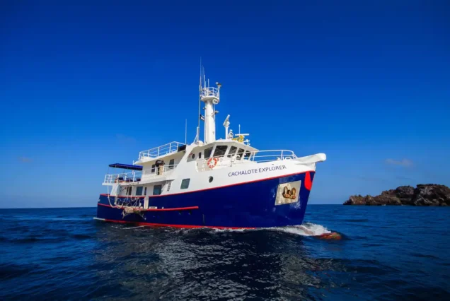 Cachalote Explorer - 6 Tage